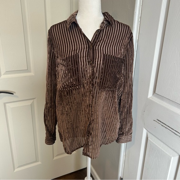 Pilcro Anthropologie Velvet sheer burnout Metallic Brown Button Down blouse - Picture 4 of 7
